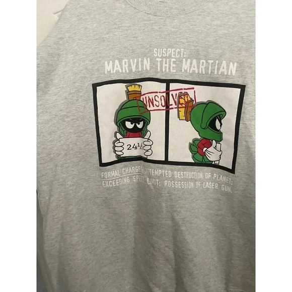 Warner Bros Studio Store Gray Long Sleeve Crew Neck Sweatshirt Size XL - Picture 4 of 5